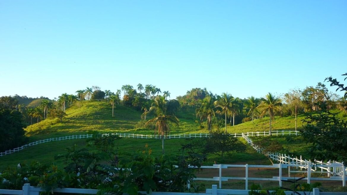 Grand Terrain Las Terrenas