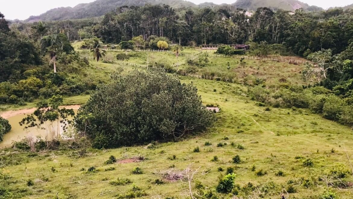 Grand Terrain Las Terrenas