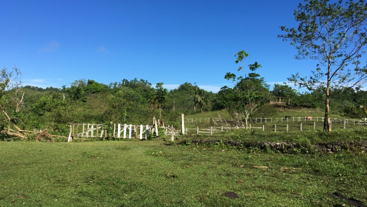 Grand Terrain Las Terrenas