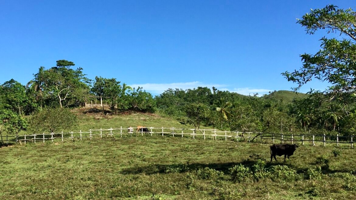 Grand Terrain Las Terrenas