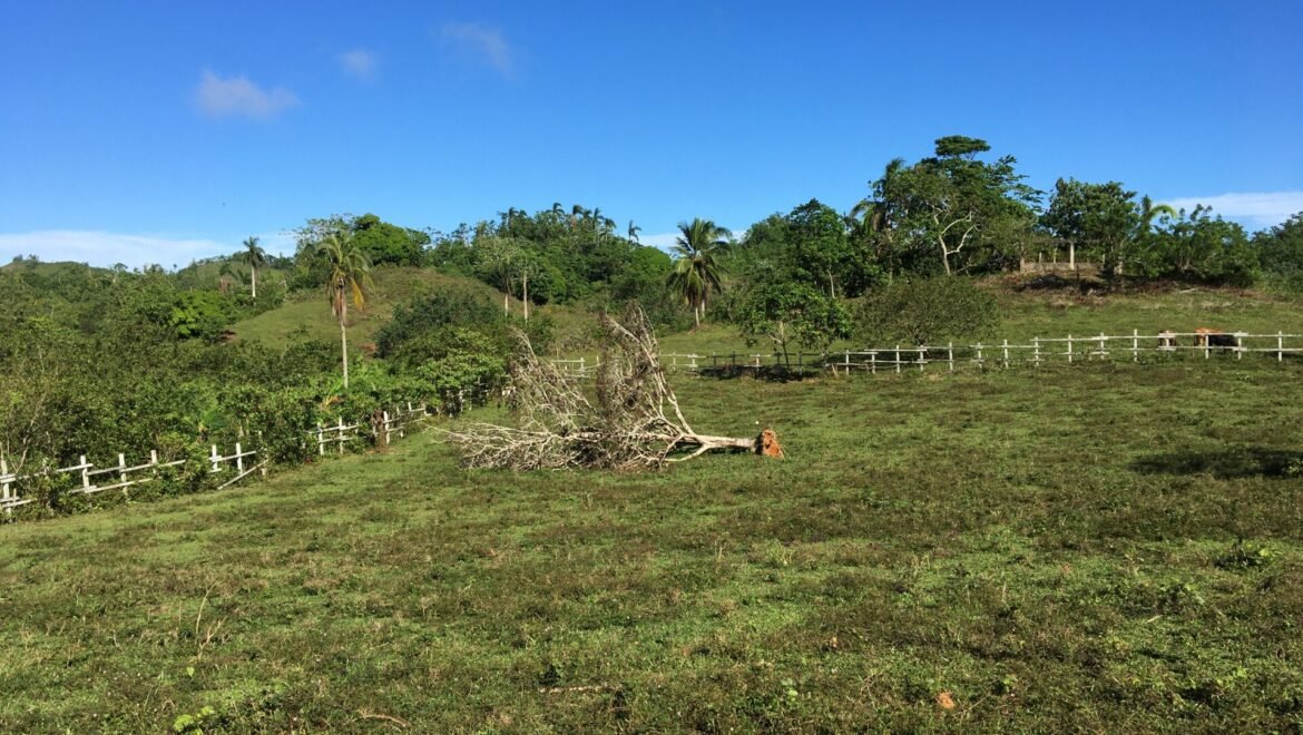 Grand Terrain Las Terrenas