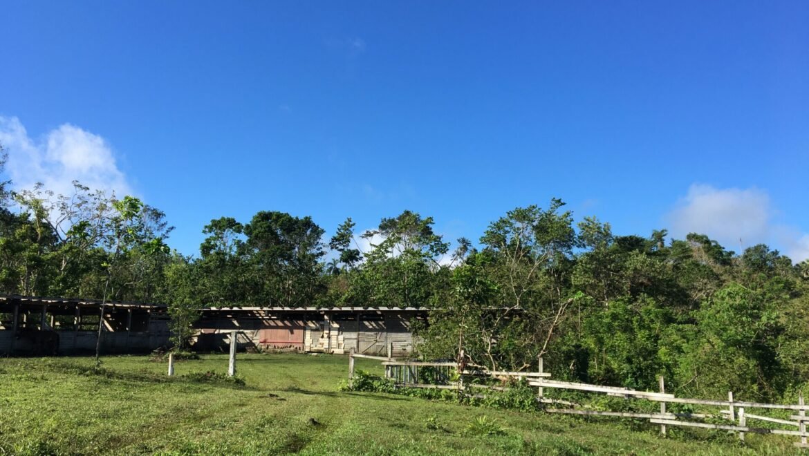 Grand Terrain Las Terrenas