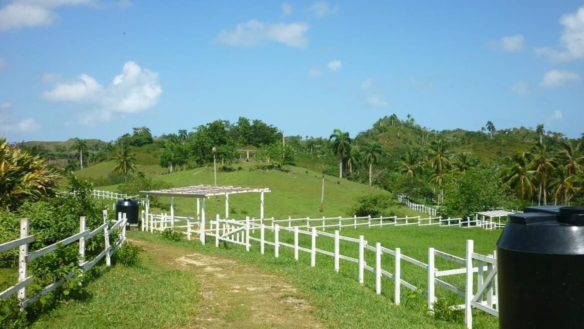 Grand Terrain Las Terrenas