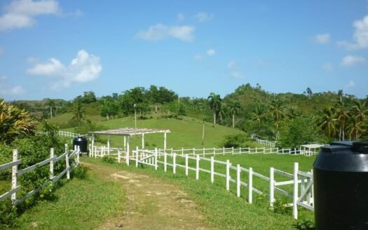TERRAIN 19 Hectares Las Terrenas