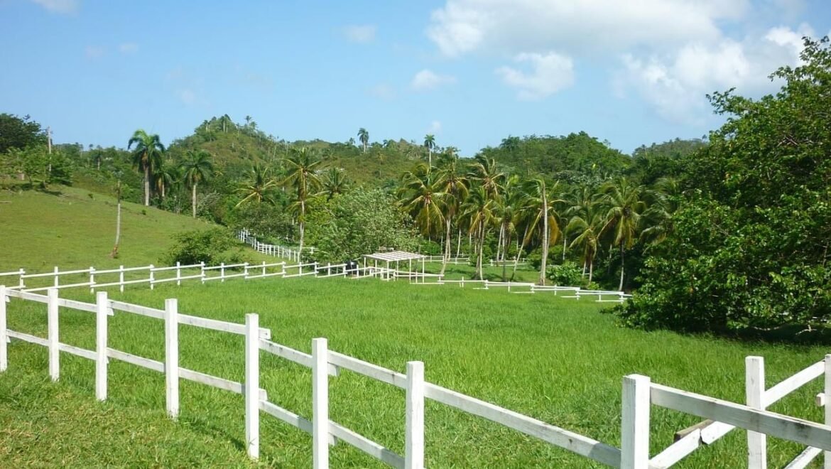 Grand Terrain Las Terrenas