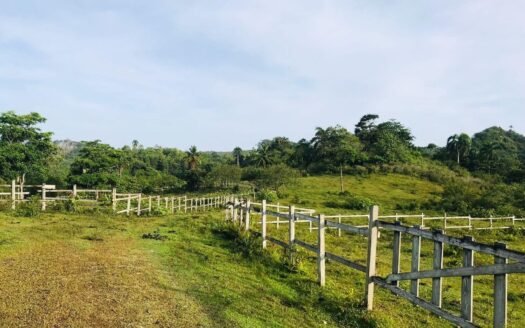 TERRAIN 19 Hectares Las Terrenas