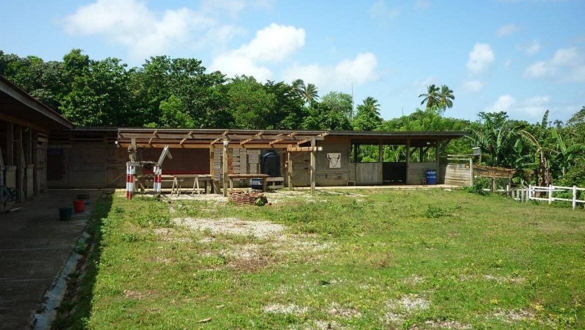 Grand Terrain Las Terrenas