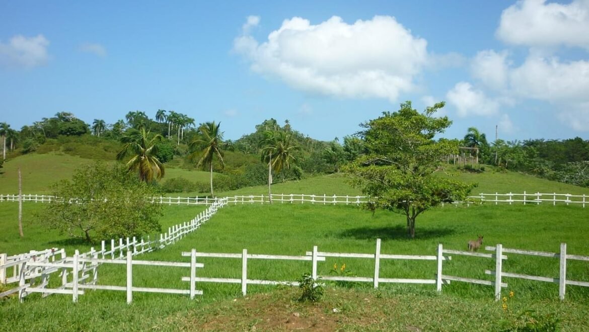 Grand Terrain Las Terrenas