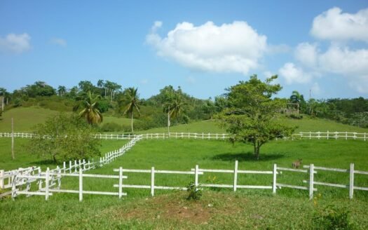 TERRAIN 19 Hectares Las Terrenas