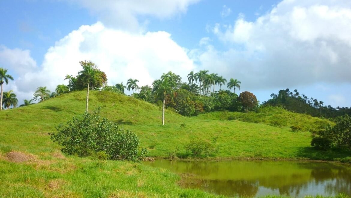 Grand Terrain Las Terrenas