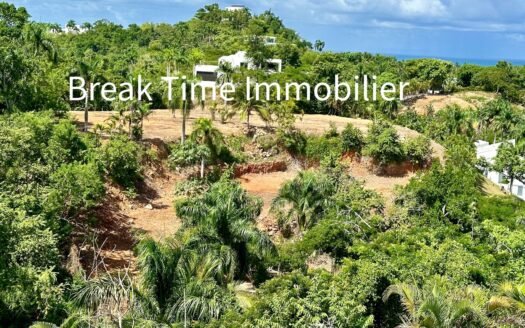 Terrains Exceptionnels à vendre – Las Terrenas 