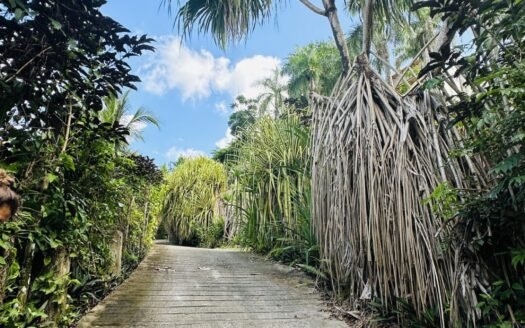TERRAIN COSÓN VUE MER