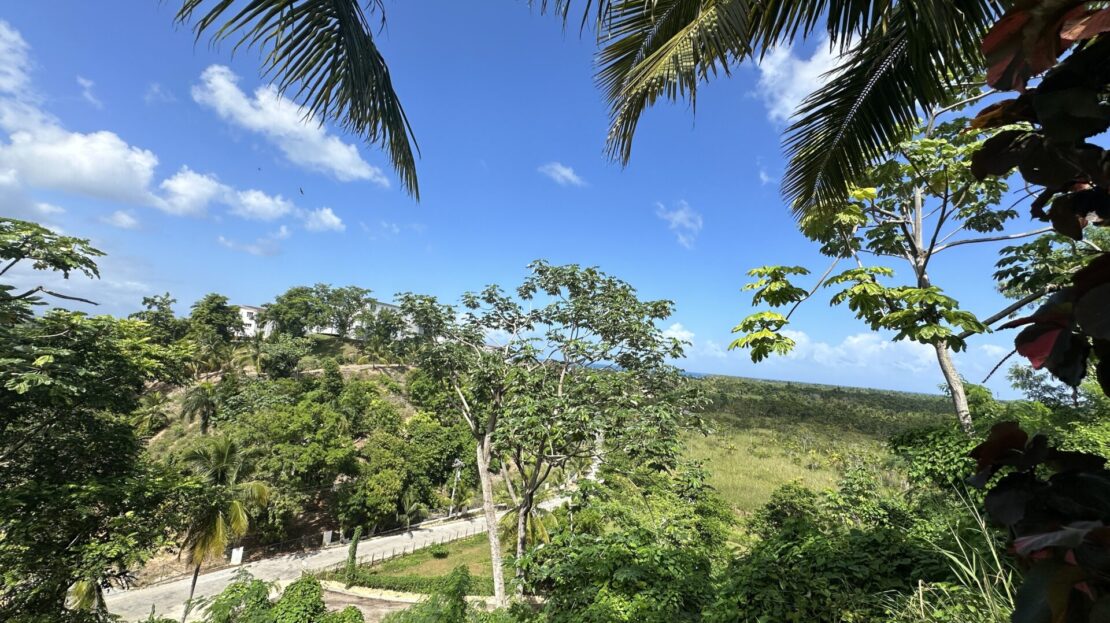 Terrain à vendre vue mer - Las Terrenas - République Dominicaine