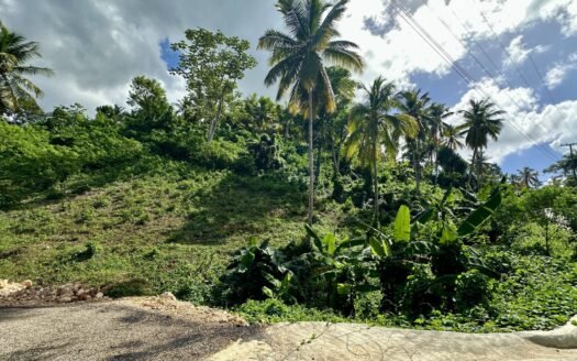 TERRAIN COSÓN VUE MER