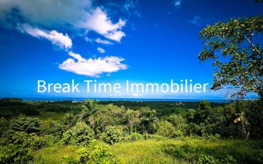 SITUATION EXCEPTIONNELLE POUR CE TERRAIN VUE MER