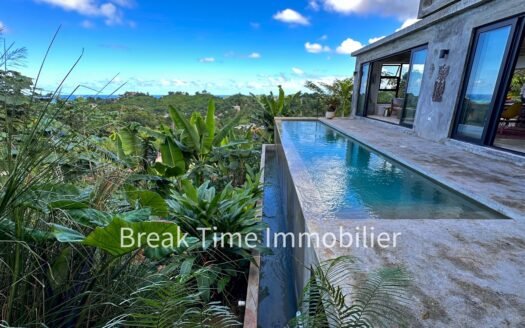 VILLA VUE MER LAS TERRENAS