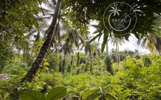 TERRAINS PLATS – Palmar De Los Nidos