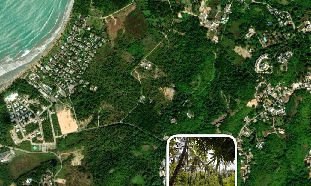 Terrains plats à vendre Palma de Los Nidos Las Terrenas