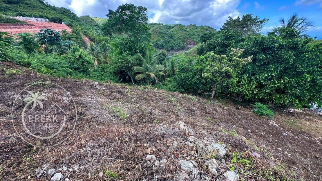 Terrain dominant - vue Mer - Palmar de Los Nidos Las Terrenas