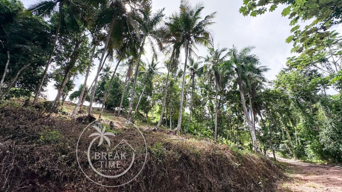 Terrain dominant - vue Mer - Palmar de Los Nidos Las Terrenas