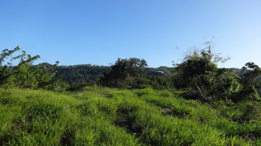 Terrain Vue Mer 180°