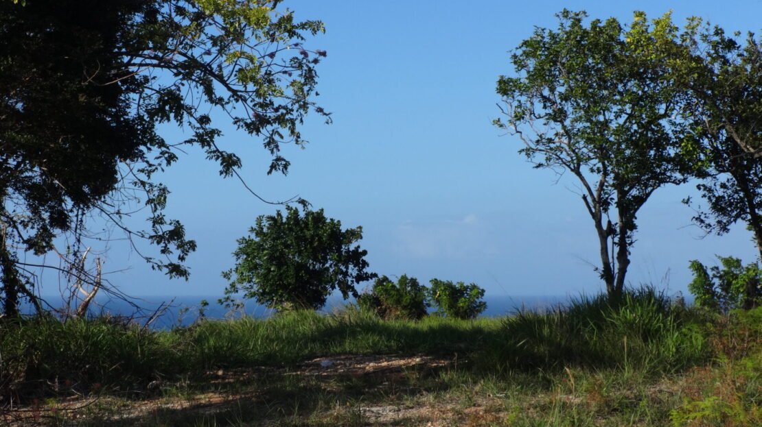 Terrain Vue Mer 180°