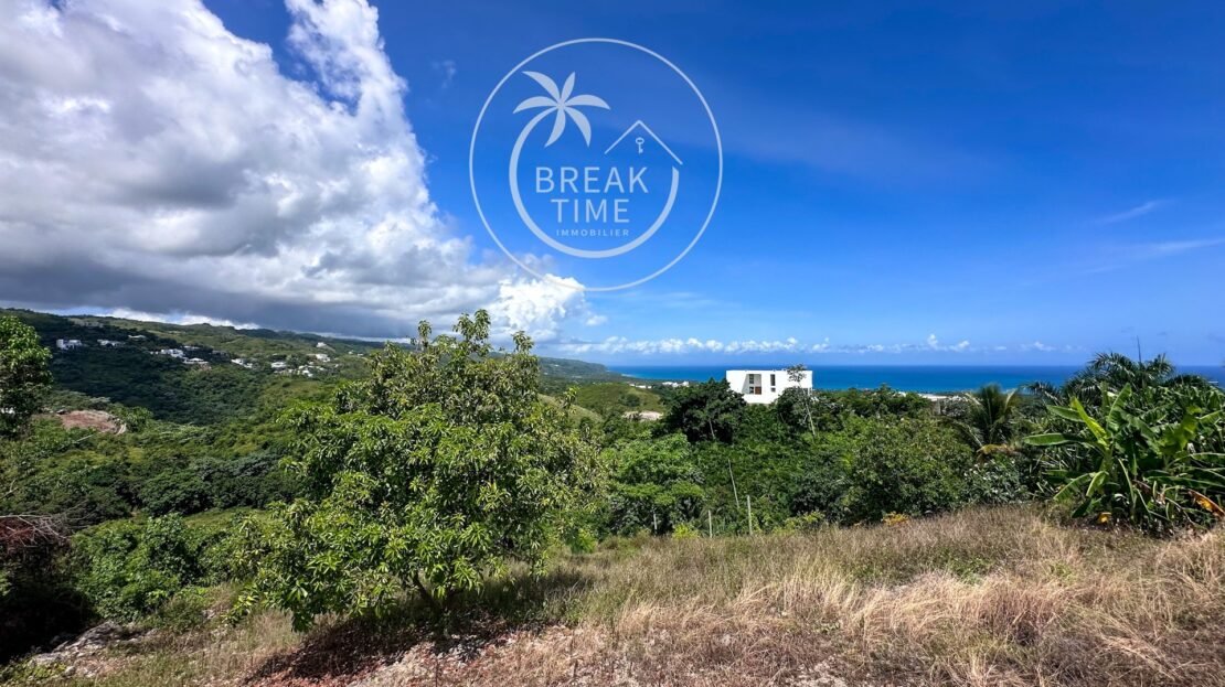 Terrain vue mer colline