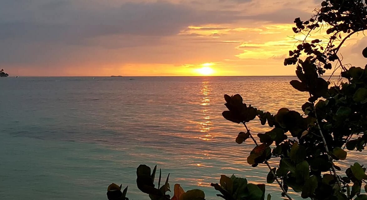 Hôtel 3* à Vendre Las Terrenas