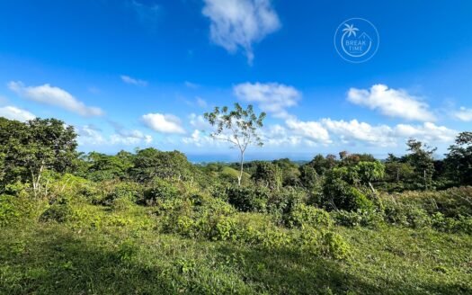 TERRAIN À VENDRE LOS PUENTES