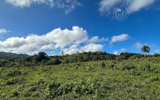TERRAIN À VENDRE LOS PUENTES