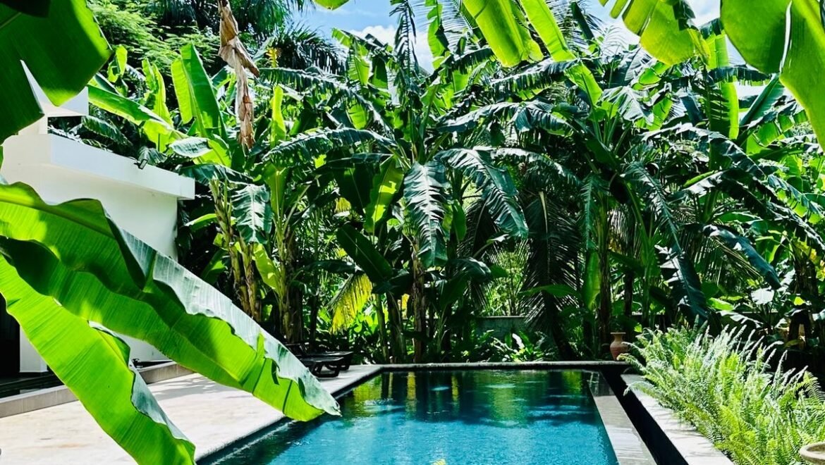 Villa moderne 4 chambres - piscine - Las Terrenas