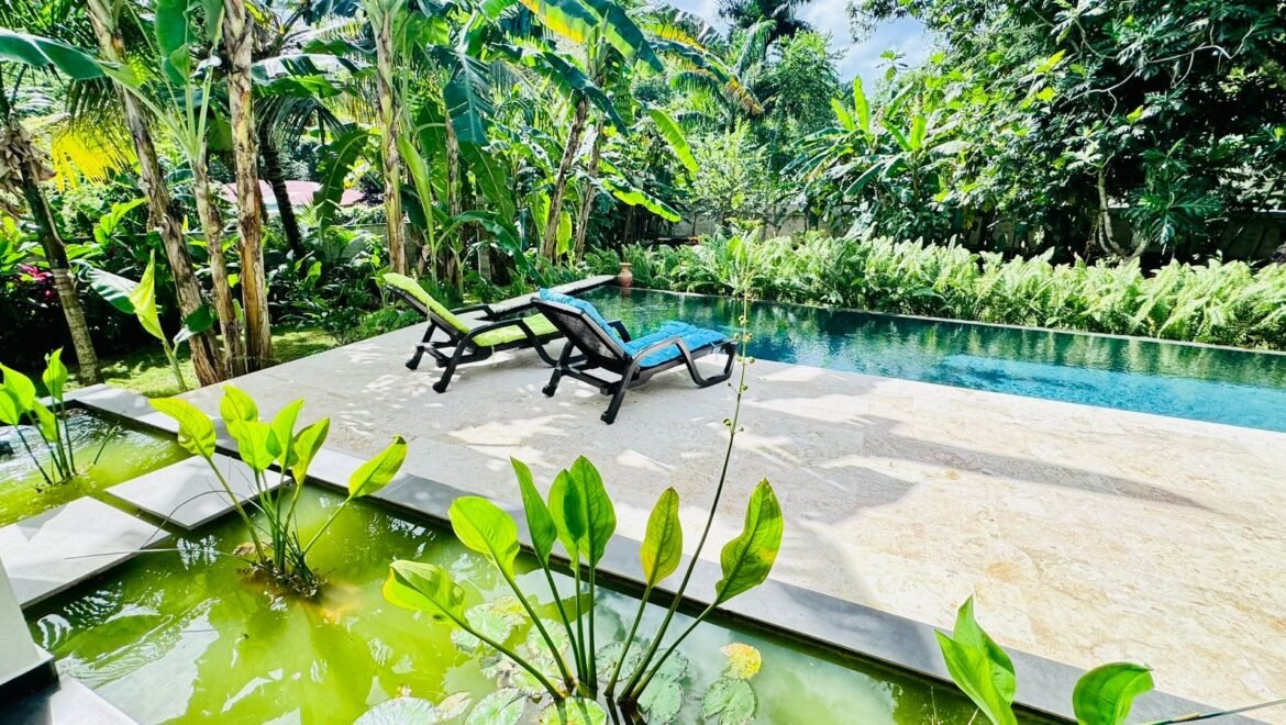 Villa moderne 4 chambres - piscine - Las Terrenas