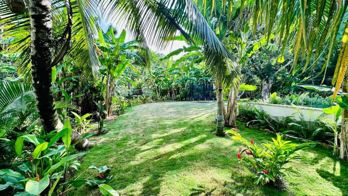 Villa moderne 4 chambres - piscine - Las Terrenas - Break Time Immobilier