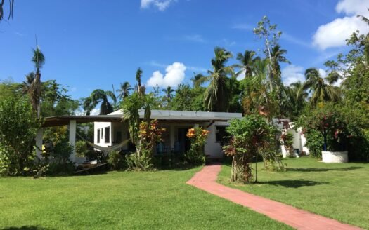 Investissement immobilier Las Terrenas Playa Las Ballenas