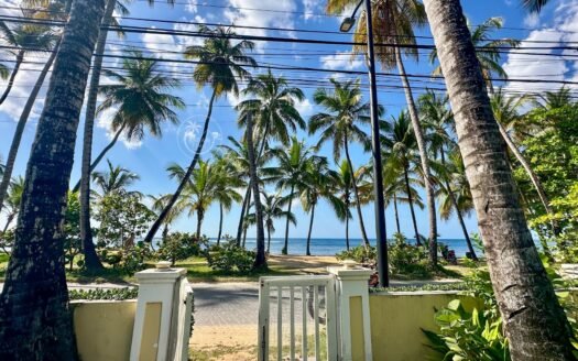 Playa Las Ballenas Oceanfront – Appartement de luxe face à la mer