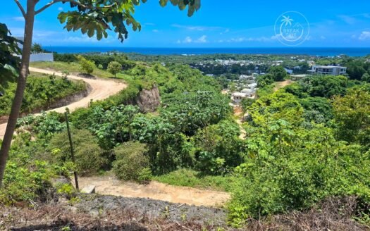 Terrain constructible Las Terrenas – Vue mer – La Granja