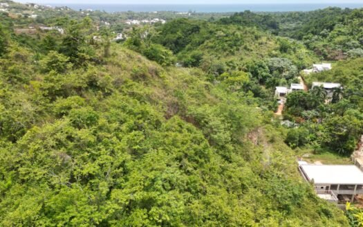 Villa terrain Las Terrenas – Propriété de 10.450 m².
