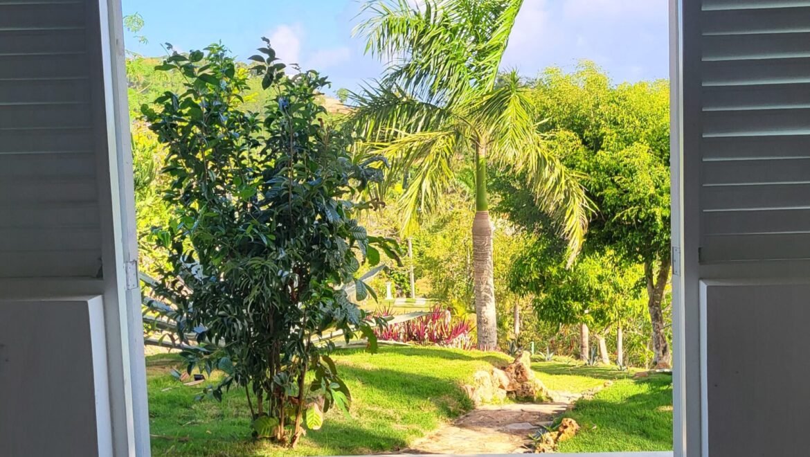 Domaine à vendre à Las Terrenas, accès bungalow