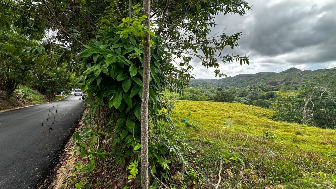 Terrain à vendre Los Puentes las Terrenas Samana