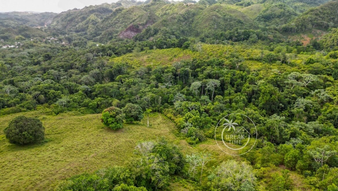 Terrain à vendre Los Puentes las Terrenas Samana avec deux sources d'eau